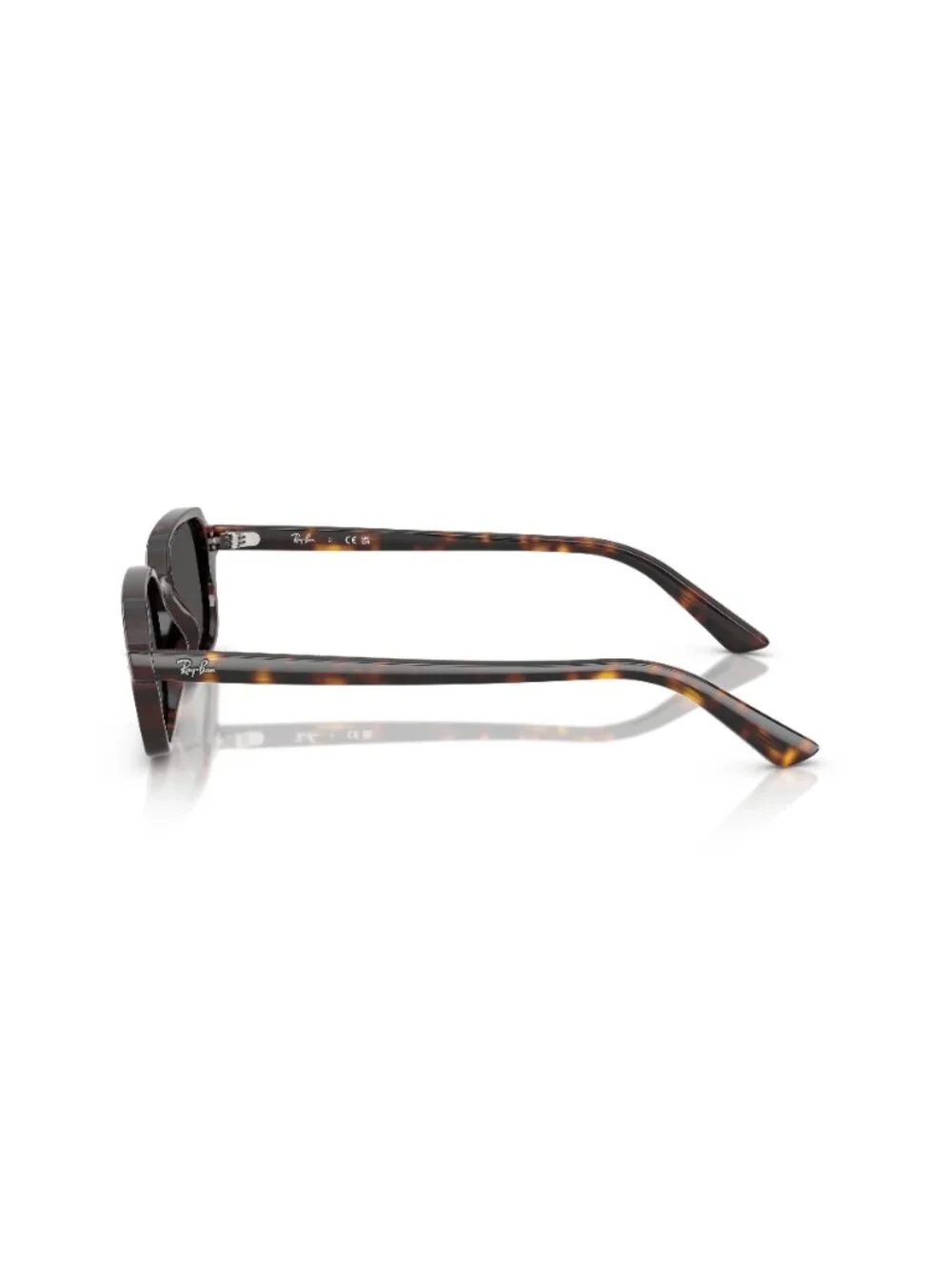 Ray-Ban new ray